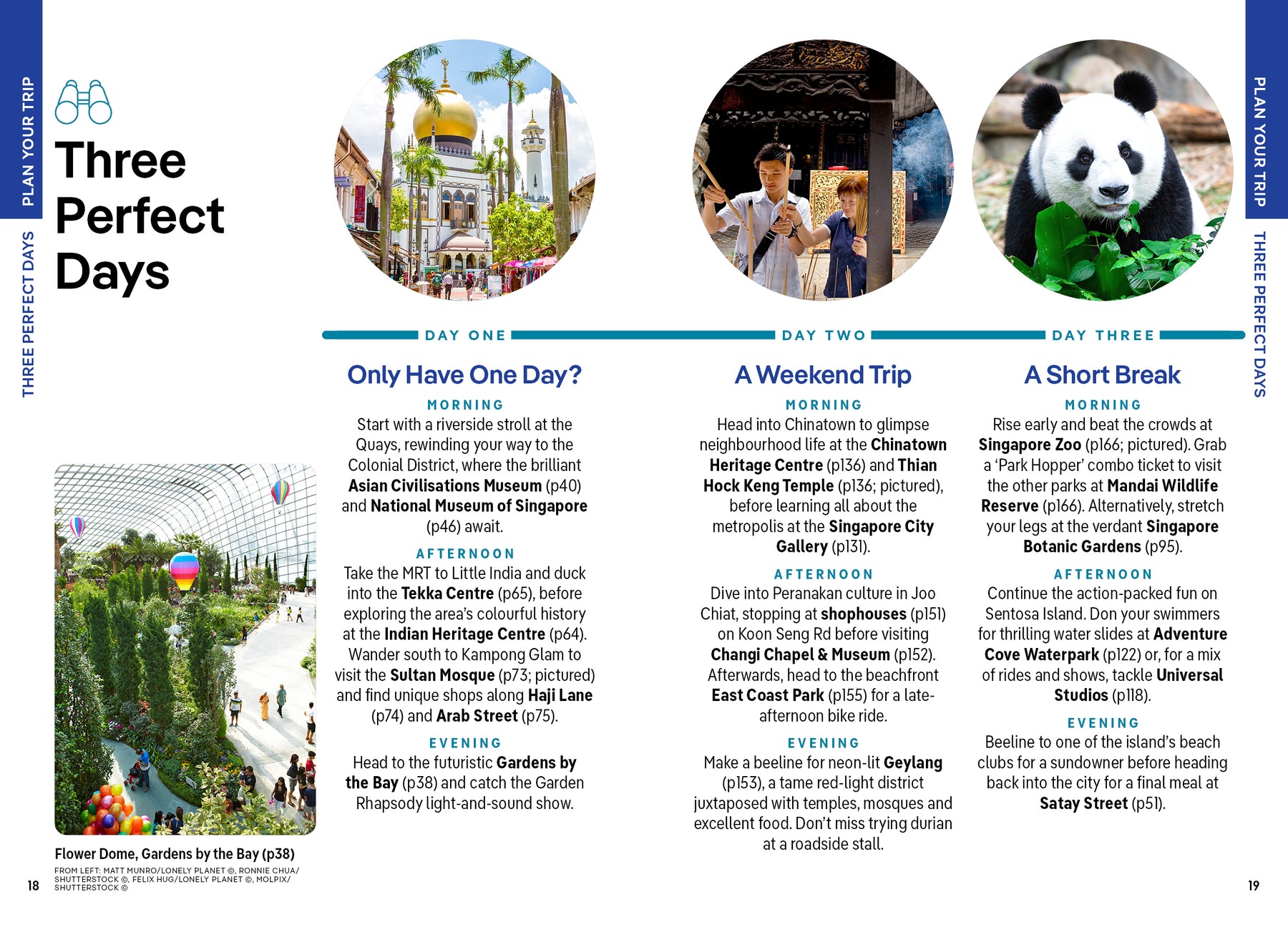 Pocket Singapore - Book + eBook