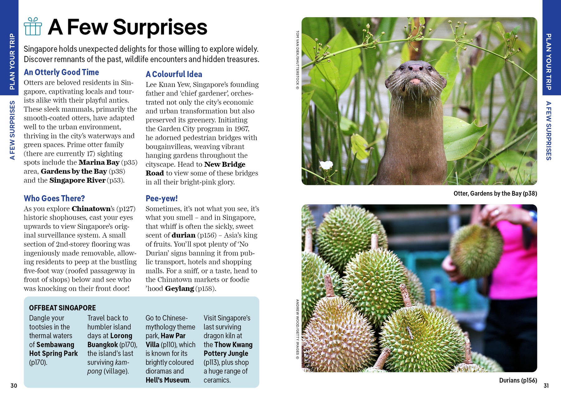 Pocket Singapore - Book + eBook