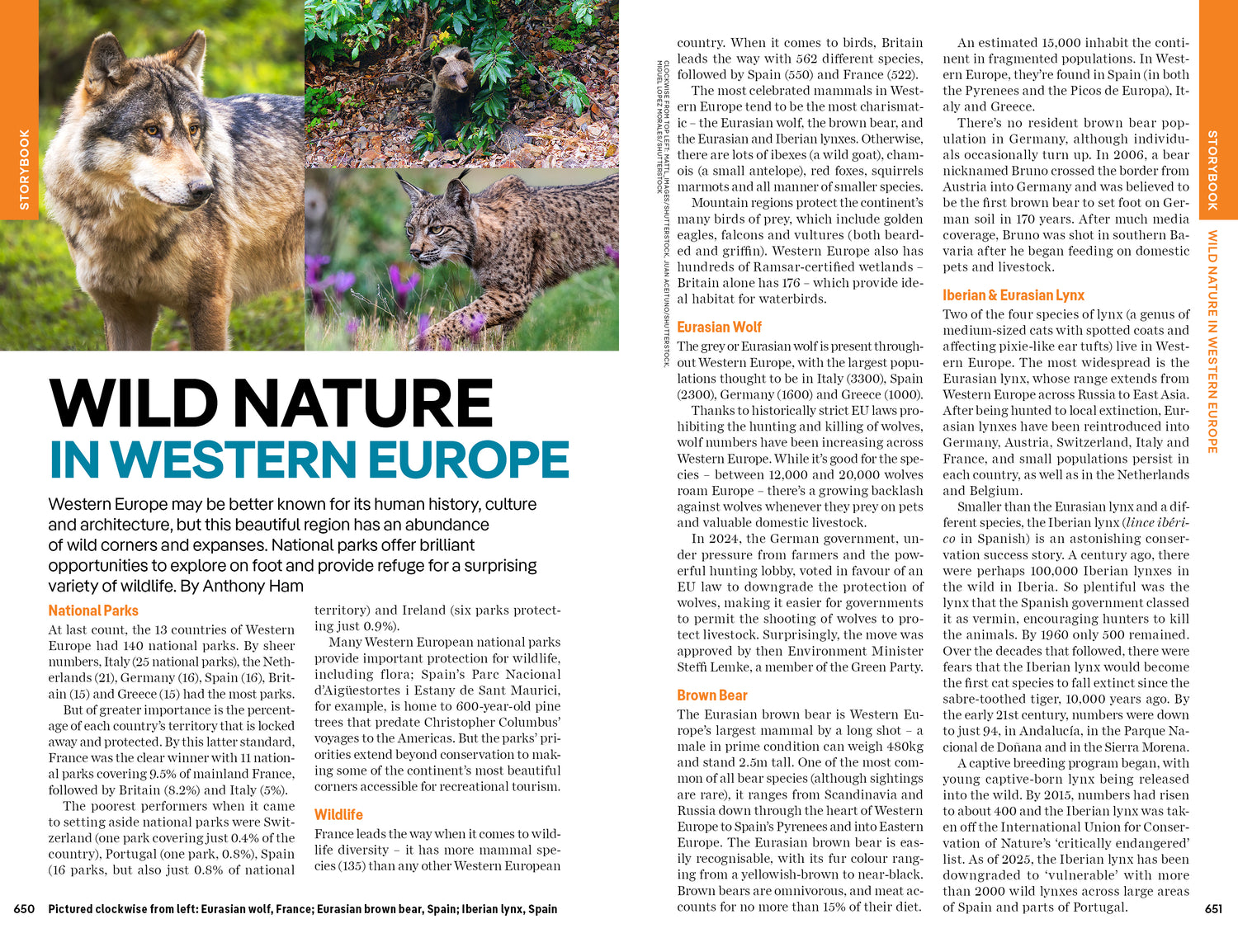 Western Europe - Book