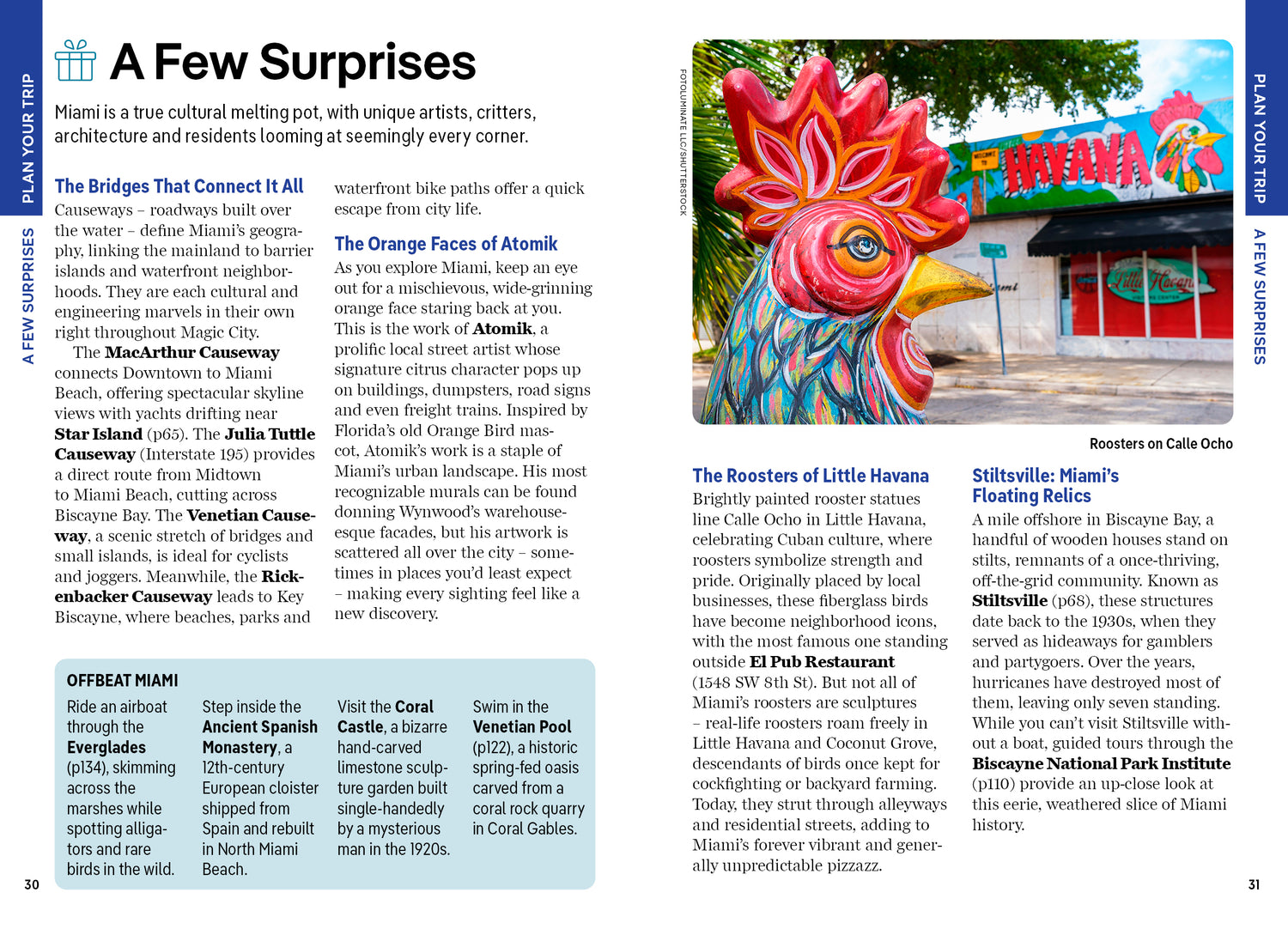 Pocket Miami - Book