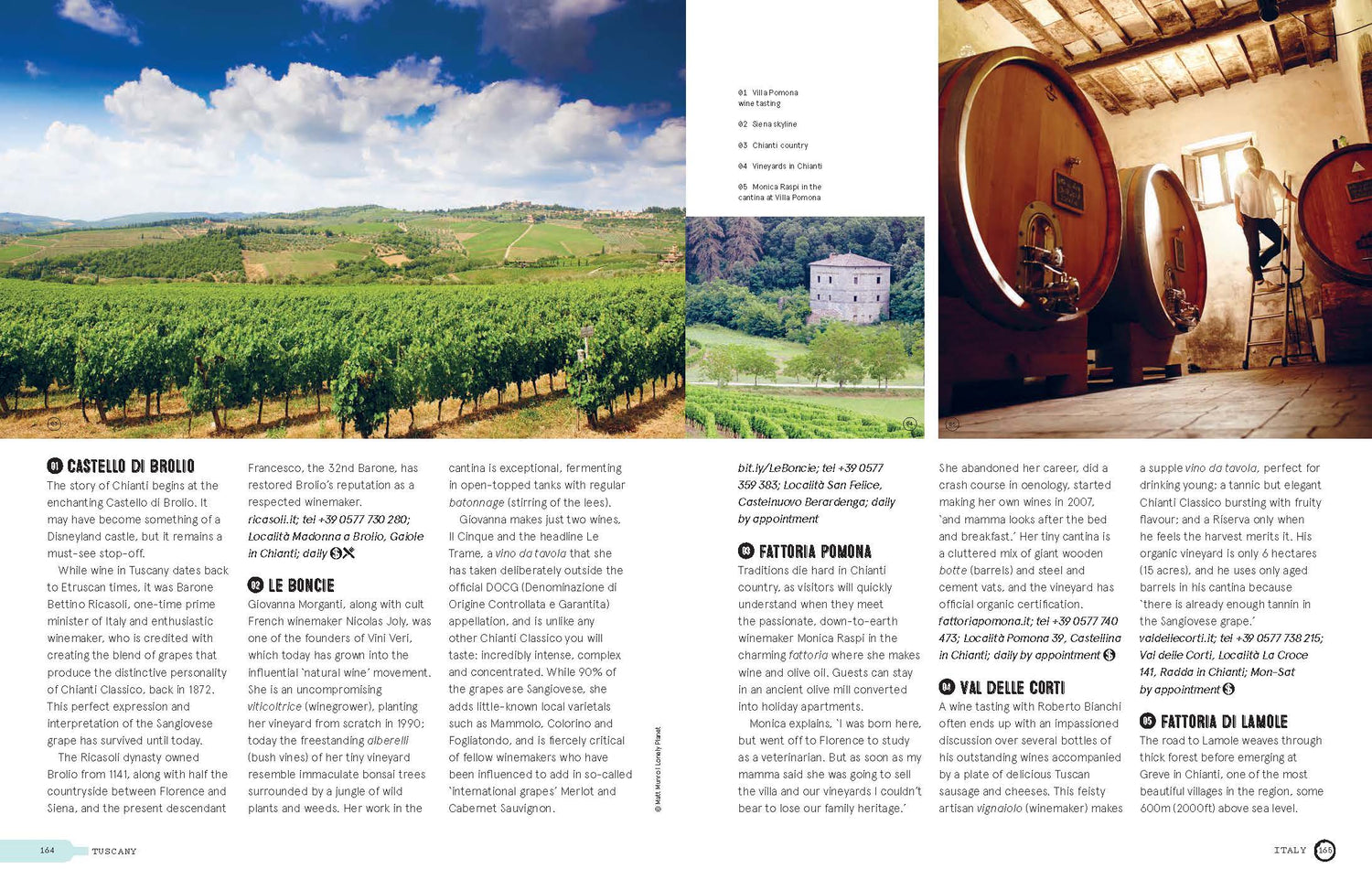 Wine Trails