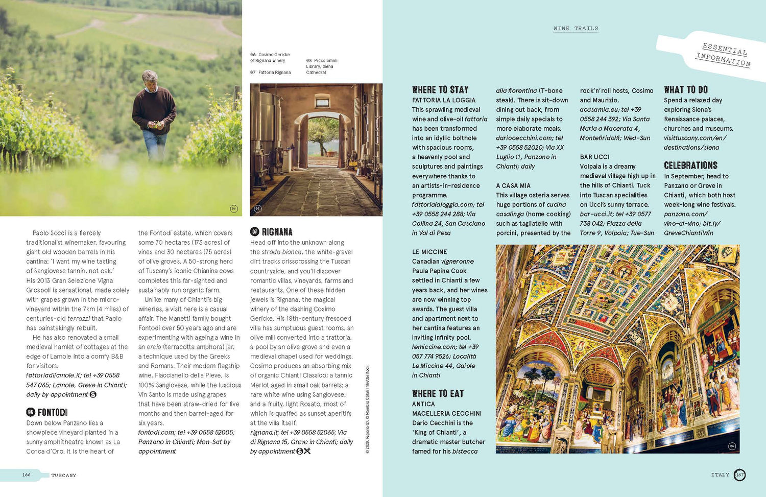 Wine Trails