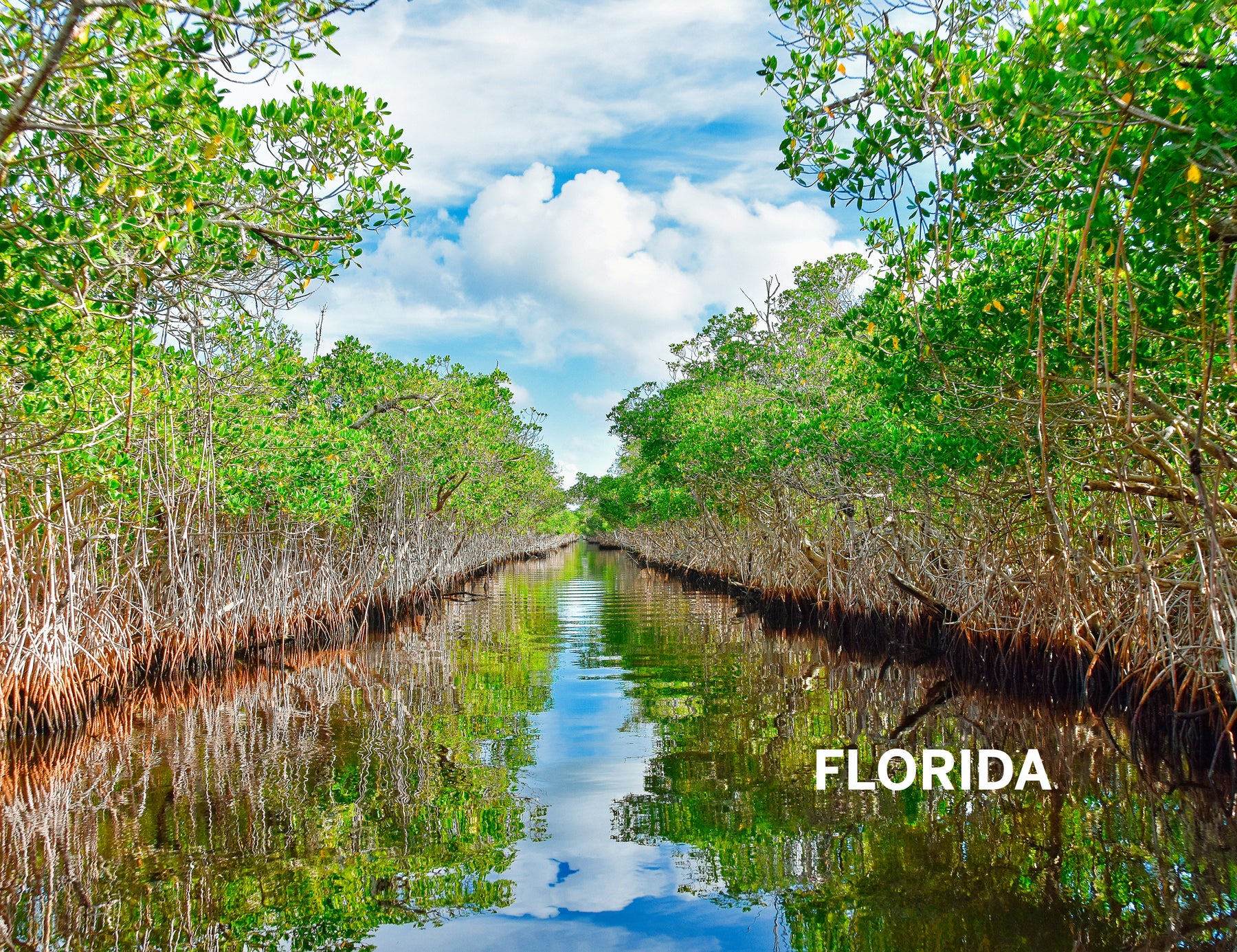 Florida & the South's National Parks