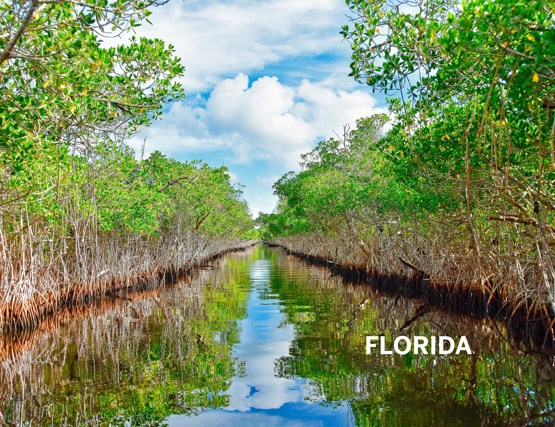 Florida & the South's National Parks - Book + eBook