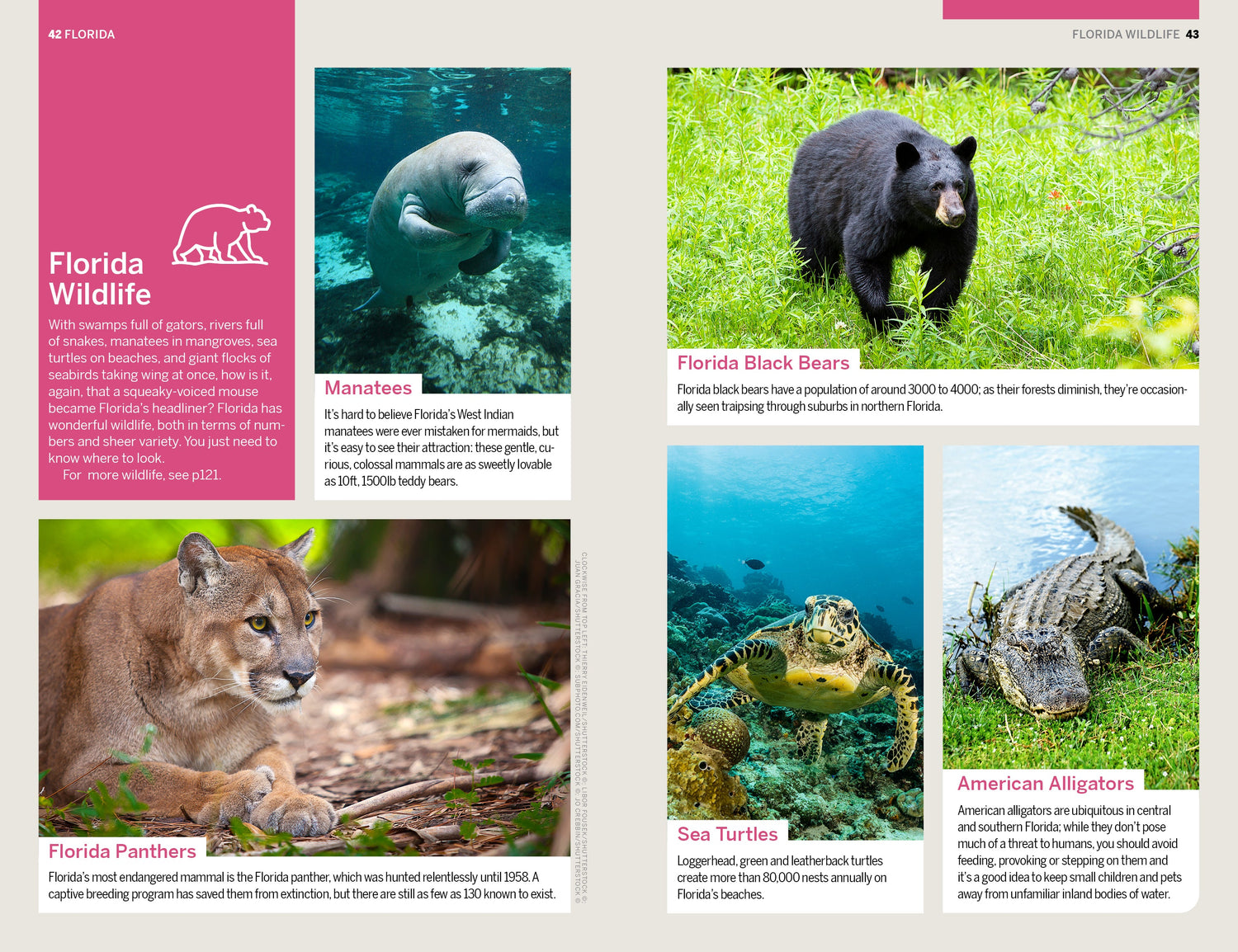 Florida & the South's National Parks - Book + eBook