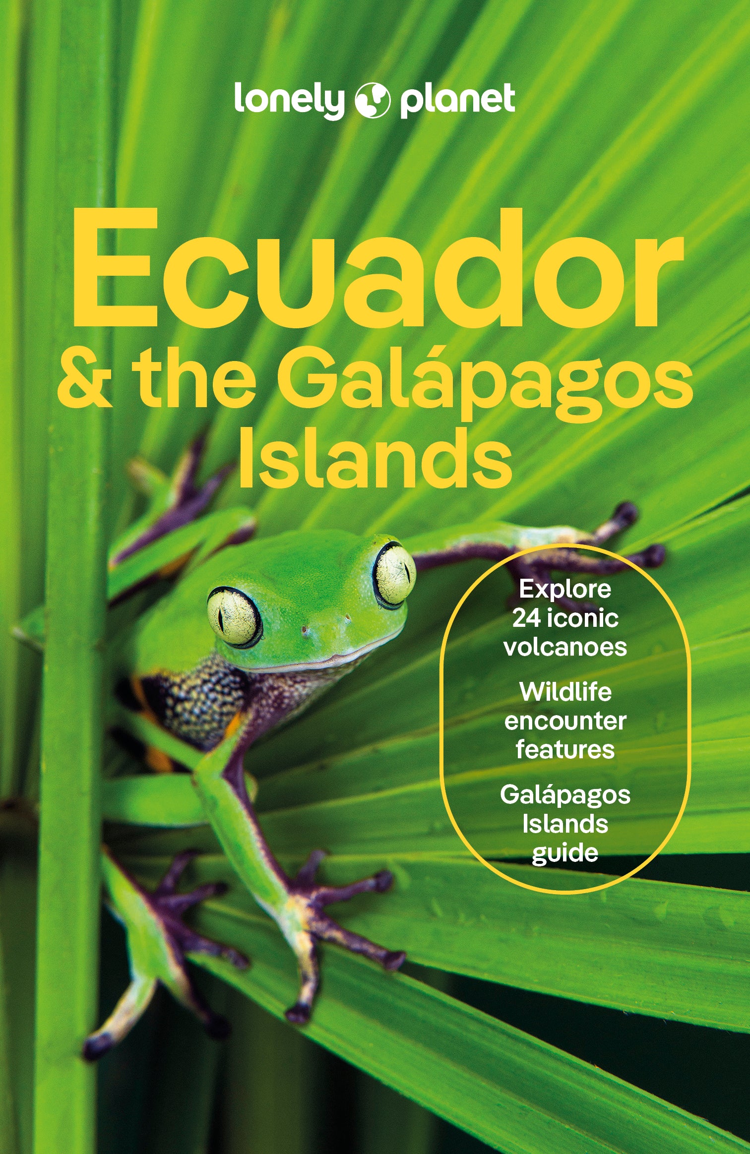 Ecuador & the Galapagos Islands Travel Guide