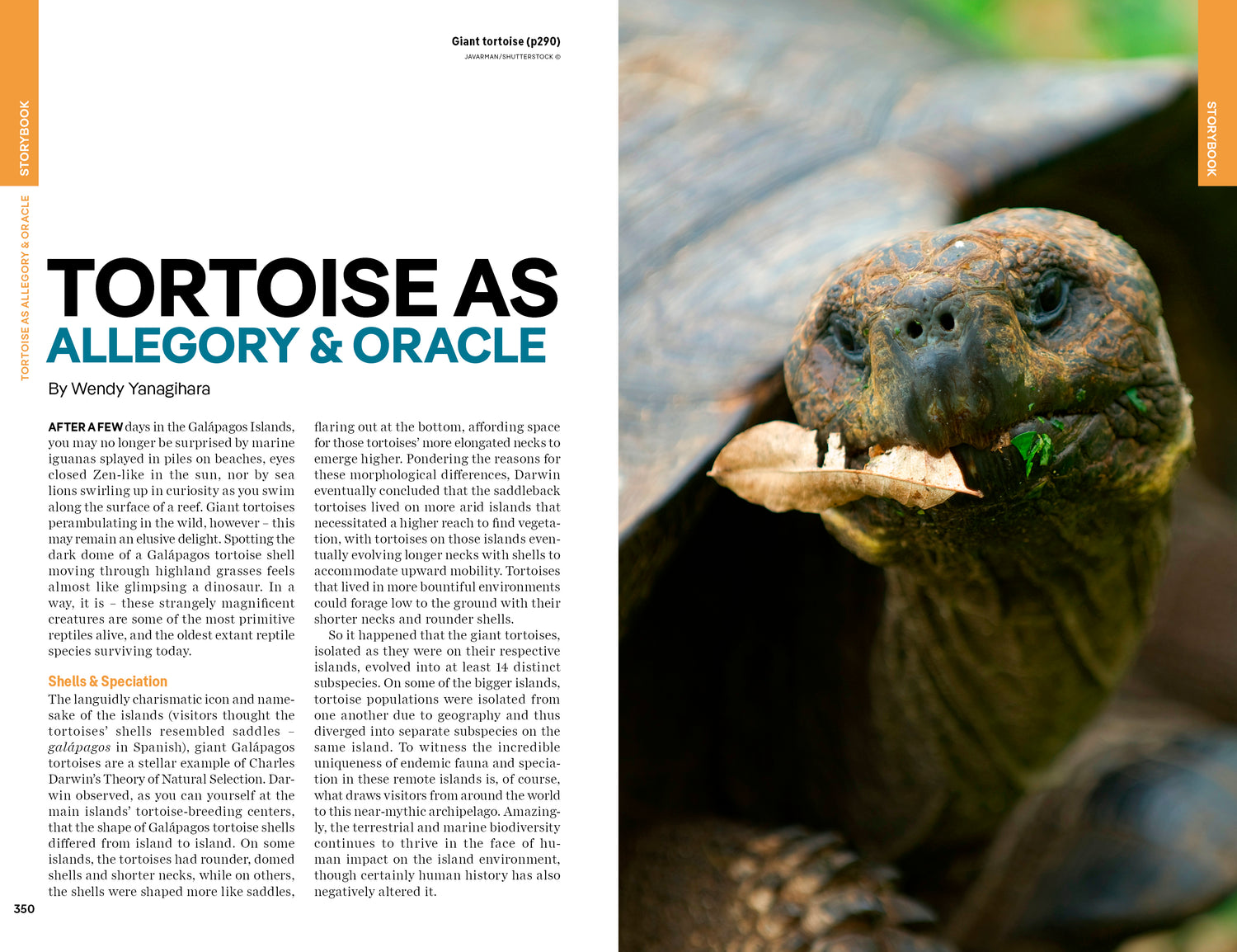 Ecuador & the Galapagos Islands - Book