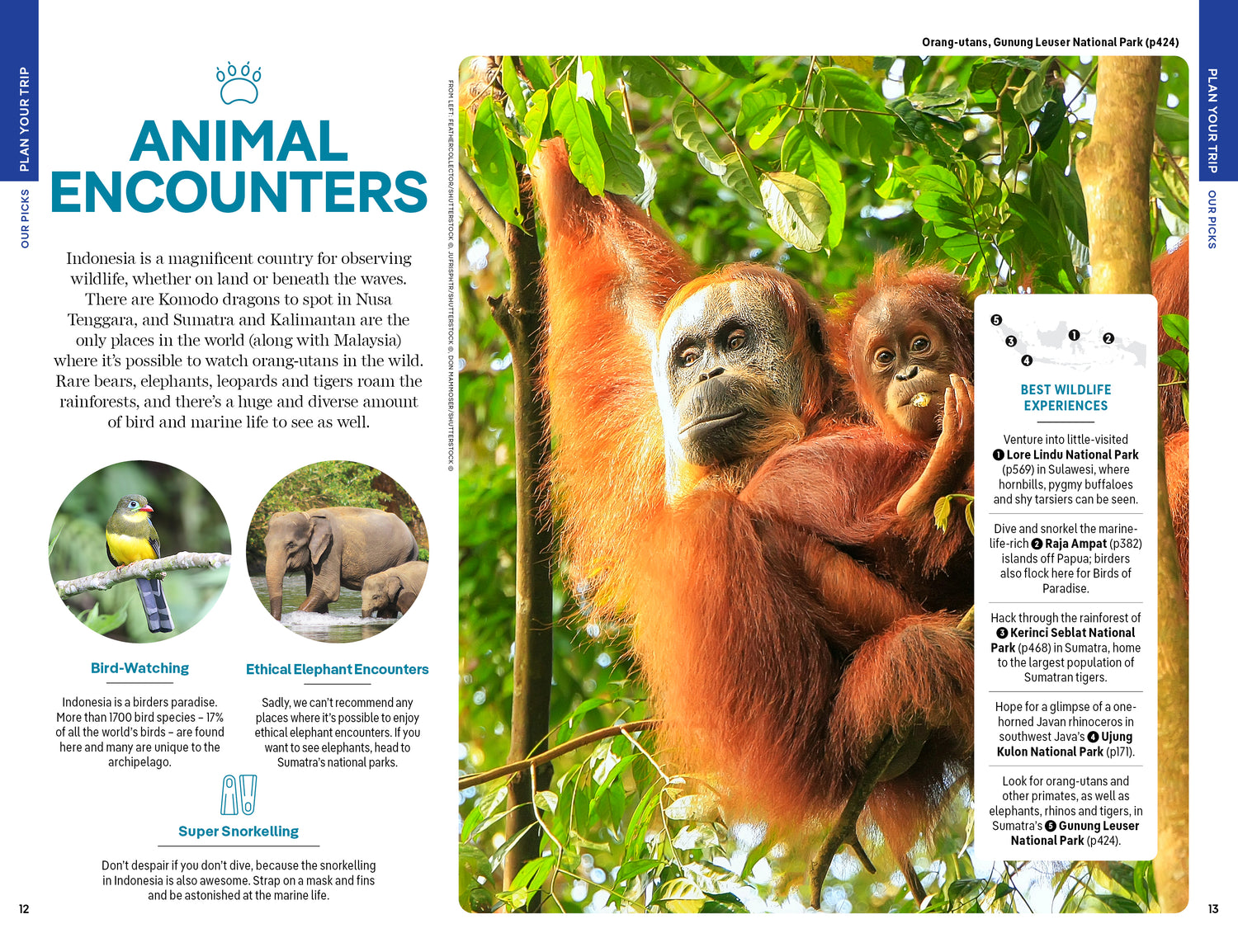 Indonesia - Book + eBook