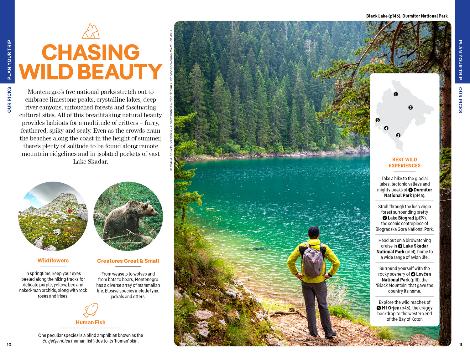 Montenegro - Book + eBook