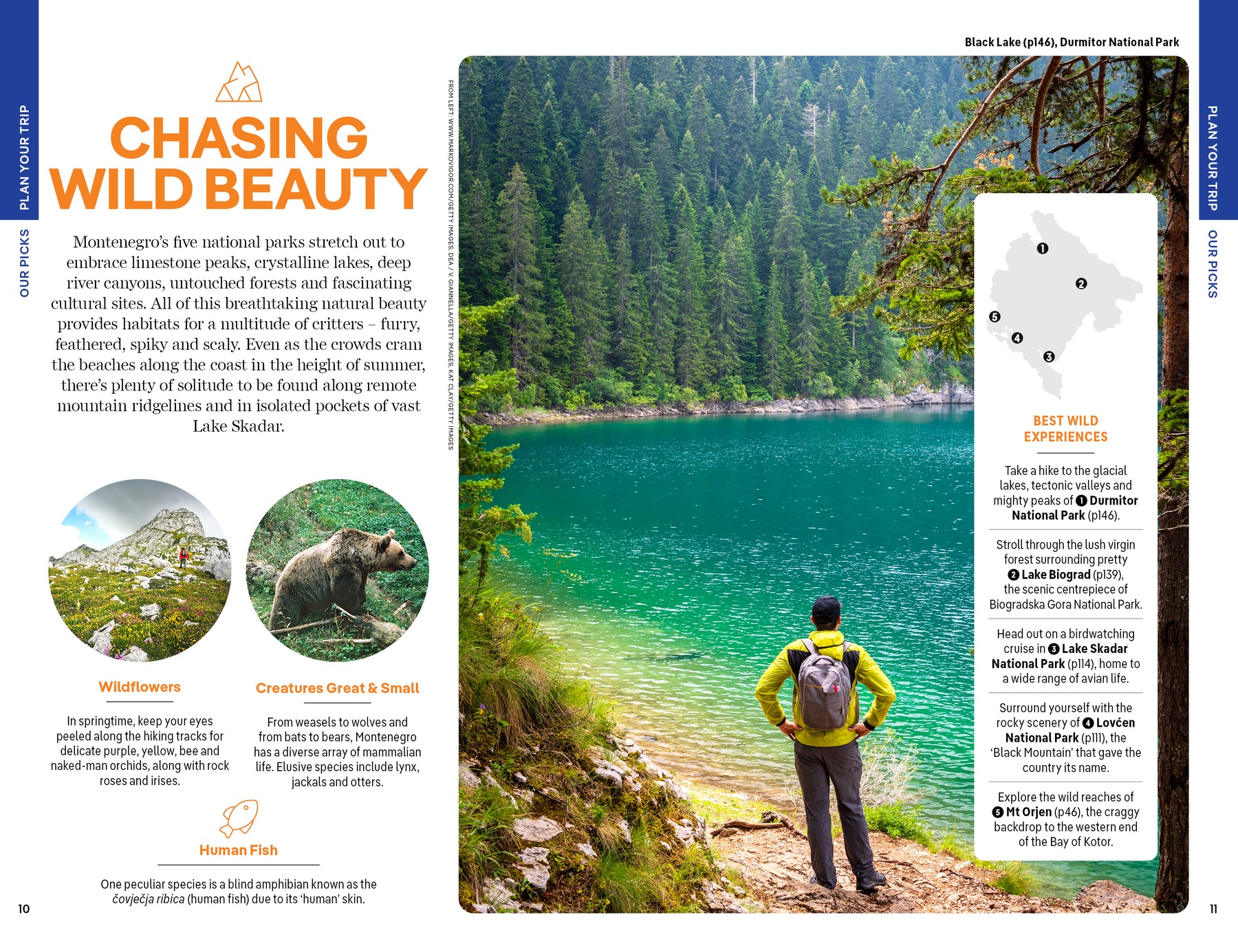 Montenegro - Book + eBook