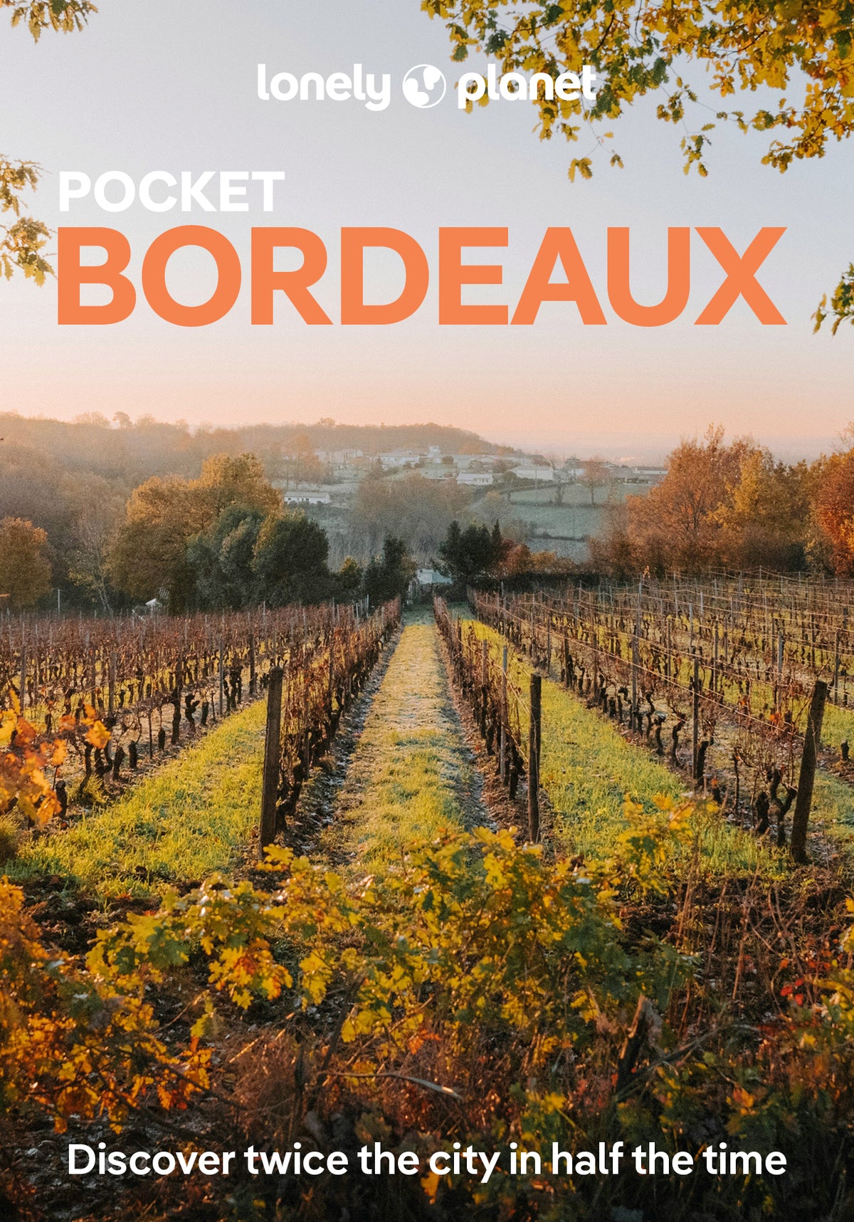 Pocket Bordeaux Travel Guide