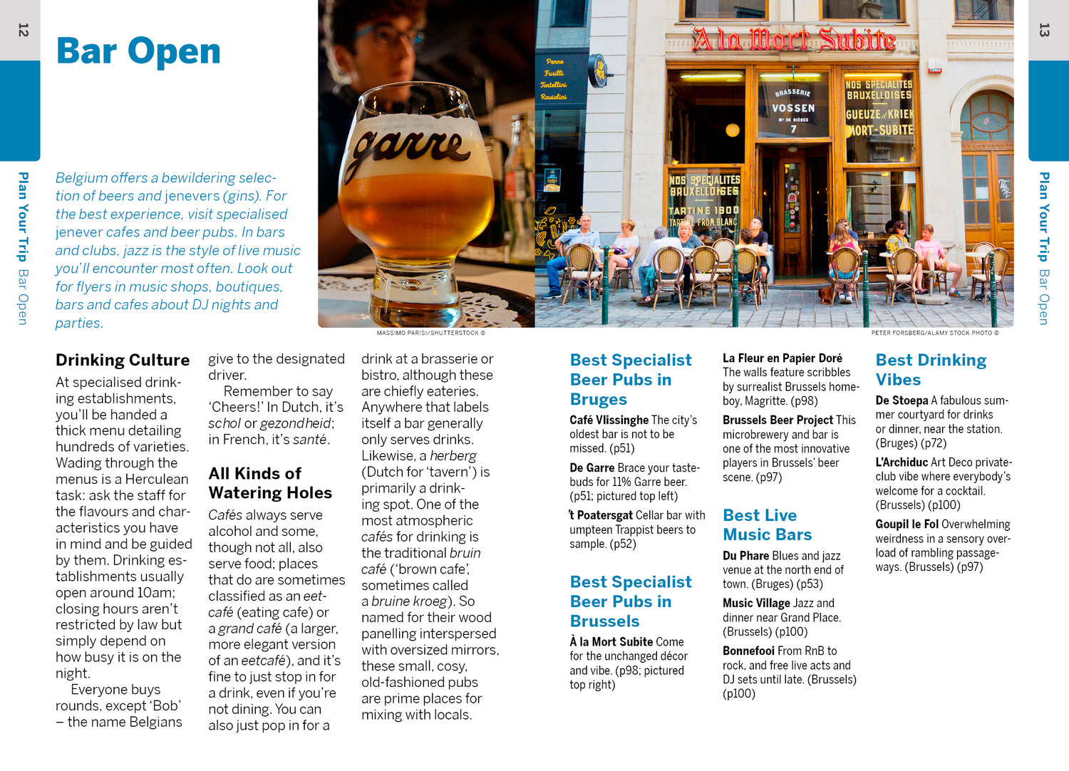 Pocket Bruges & Brussels - Book + eBook