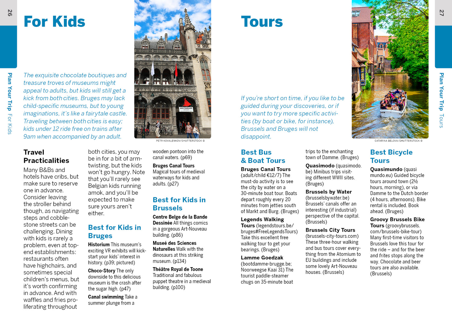 Pocket Bruges & Brussels - Book + eBook