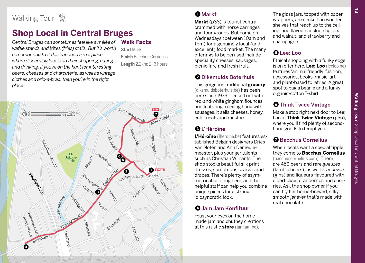 Pocket Bruges & Brussels - Book + eBook