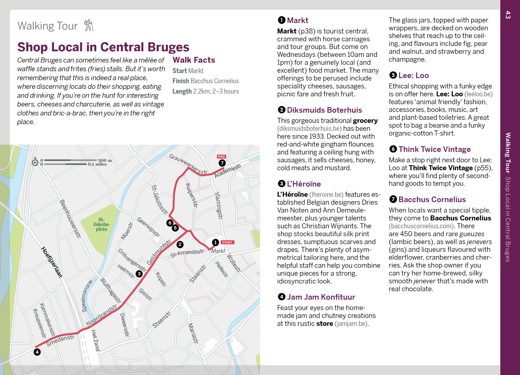 Pocket Bruges & Brussels - Book + eBook