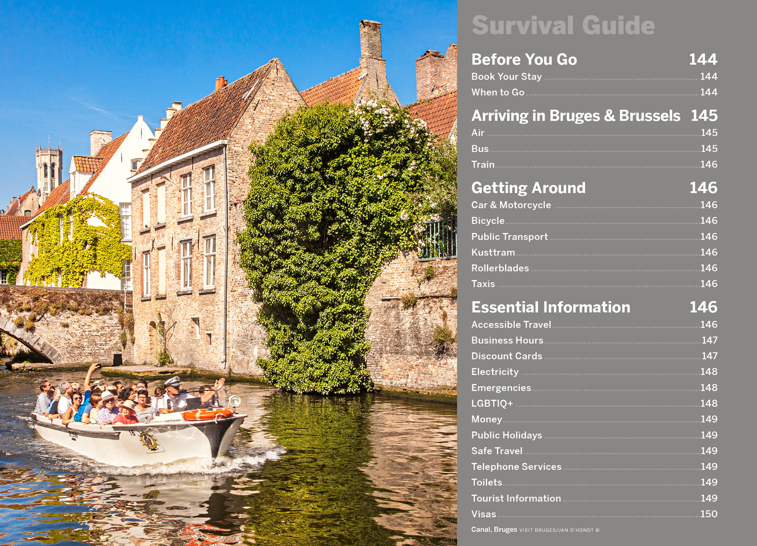 Pocket Bruges & Brussels - Book + eBook