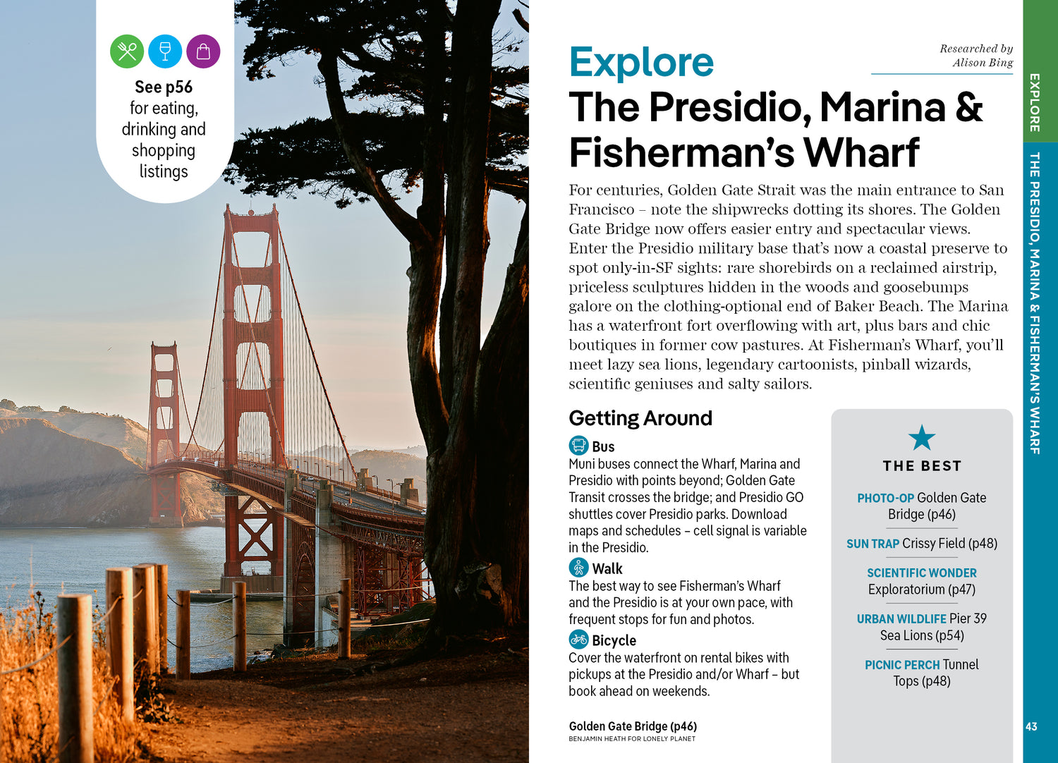 Pocket San Francisco - Book