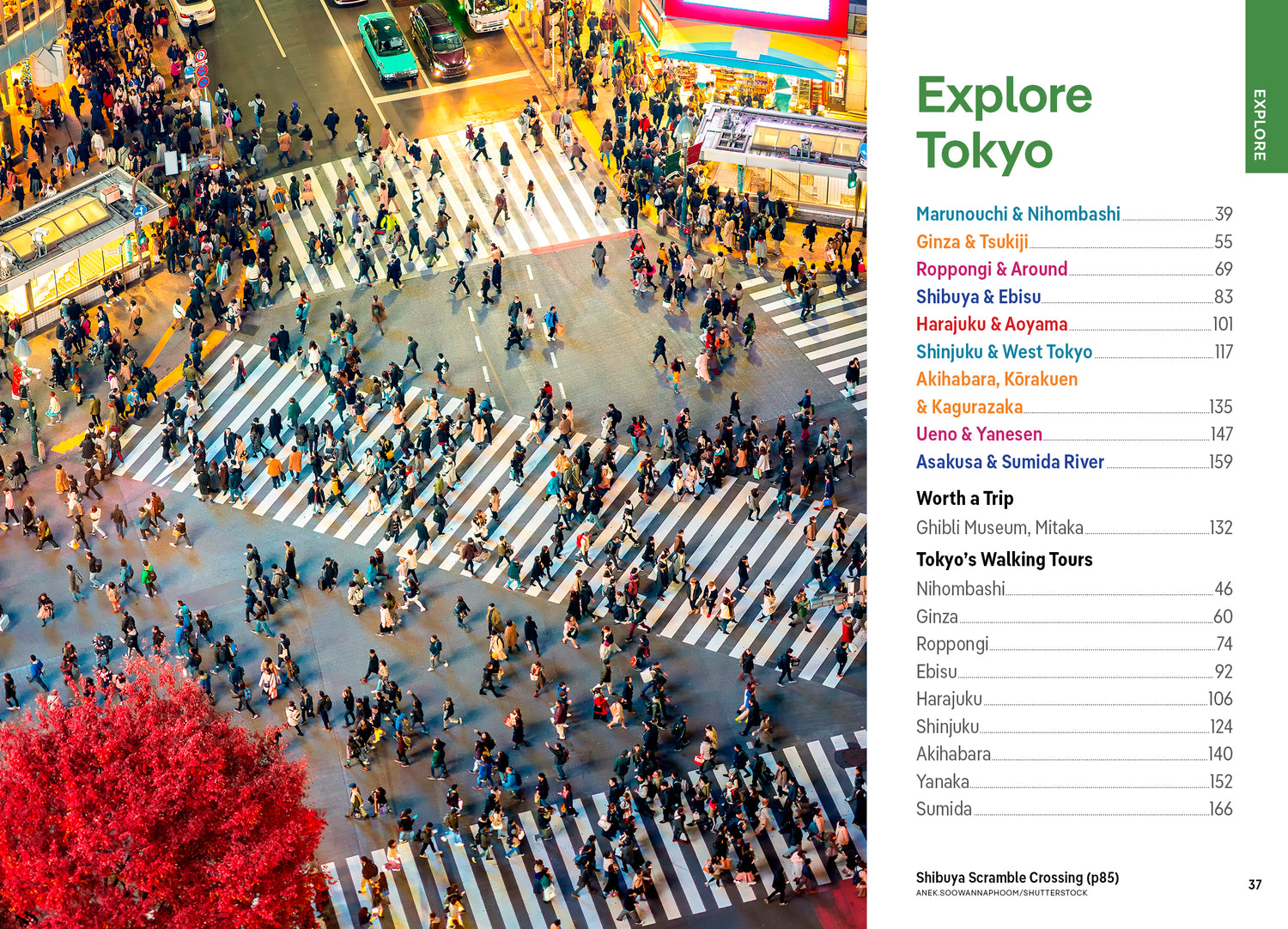Pocket Tokyo - Book