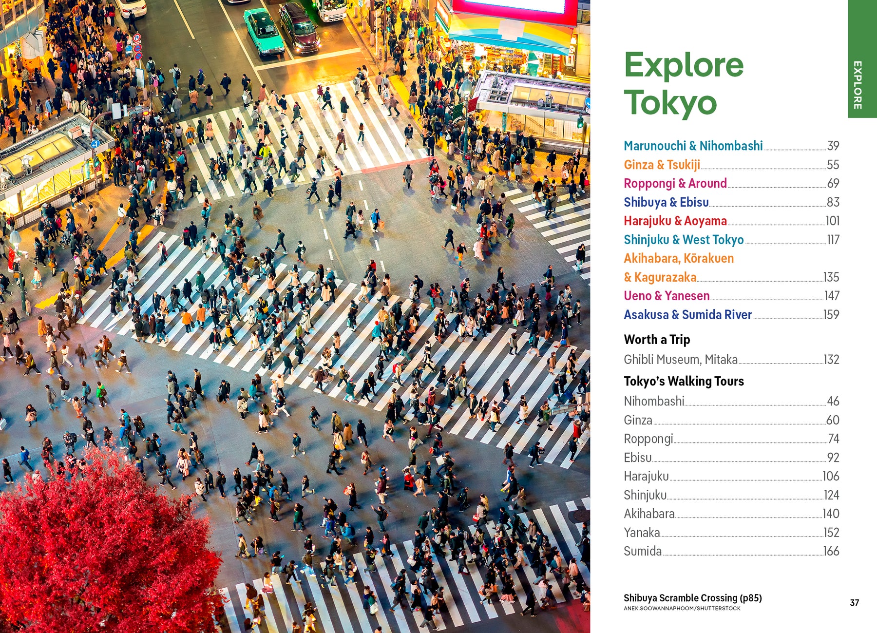 Pocket Tokyo - Book