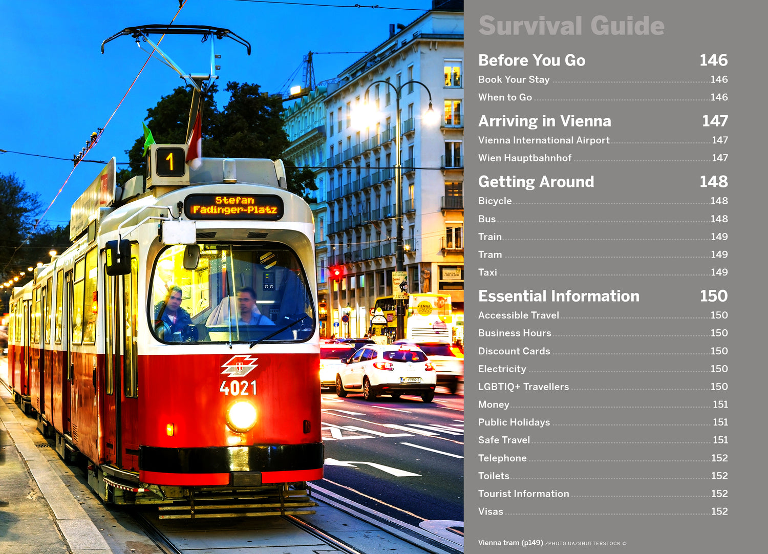 Pocket Vienna