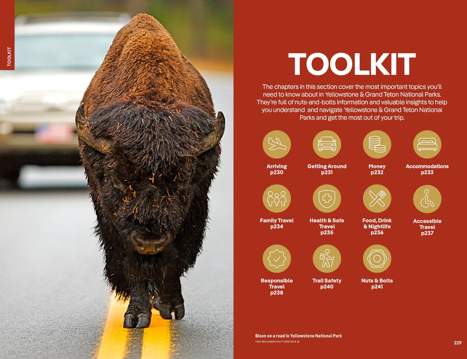 Yellowstone & Grand Teton National Parks - Book