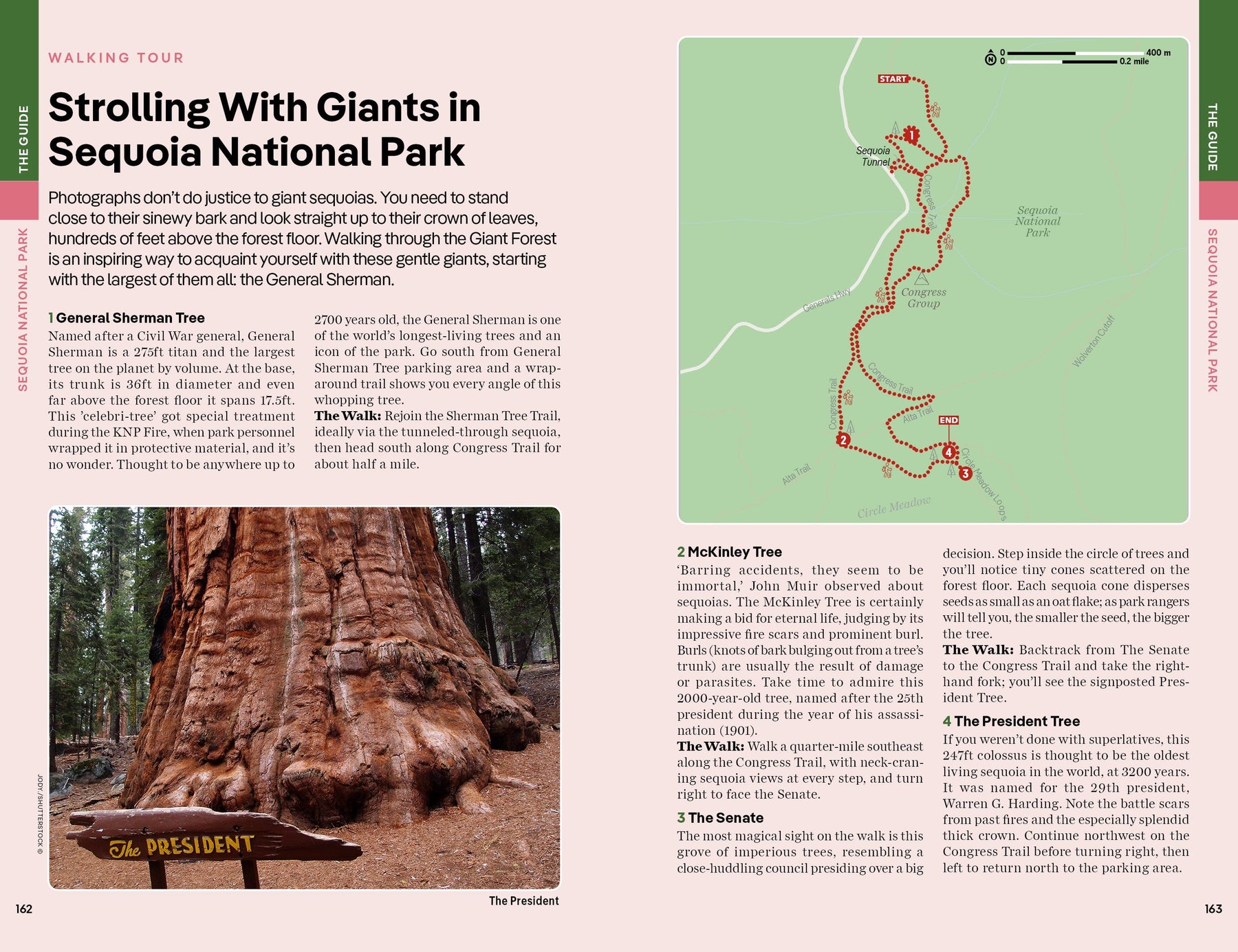 Yosemite, Sequoia & Kings Canyon National Parks - Book