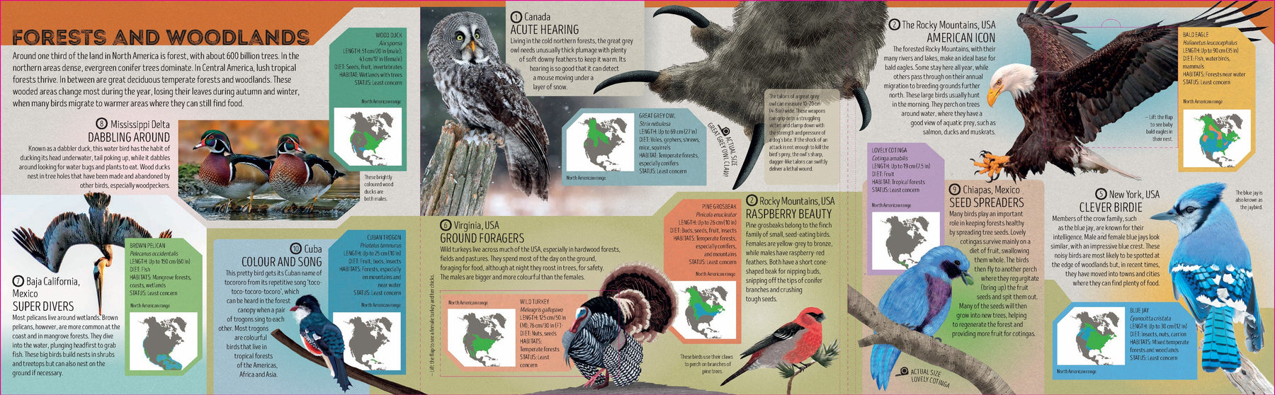 Bird Atlas (North and South America edition)