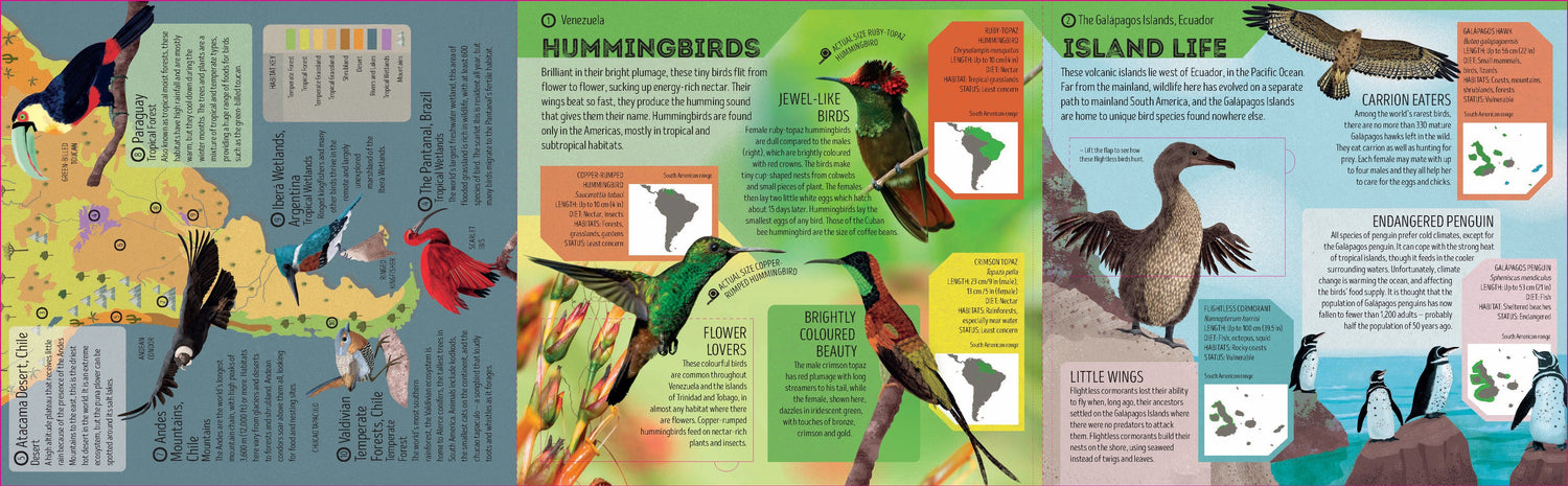 Bird Atlas (North and South America edition)