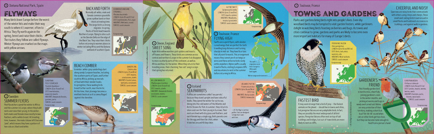 Bird Atlas (North and South America edition)