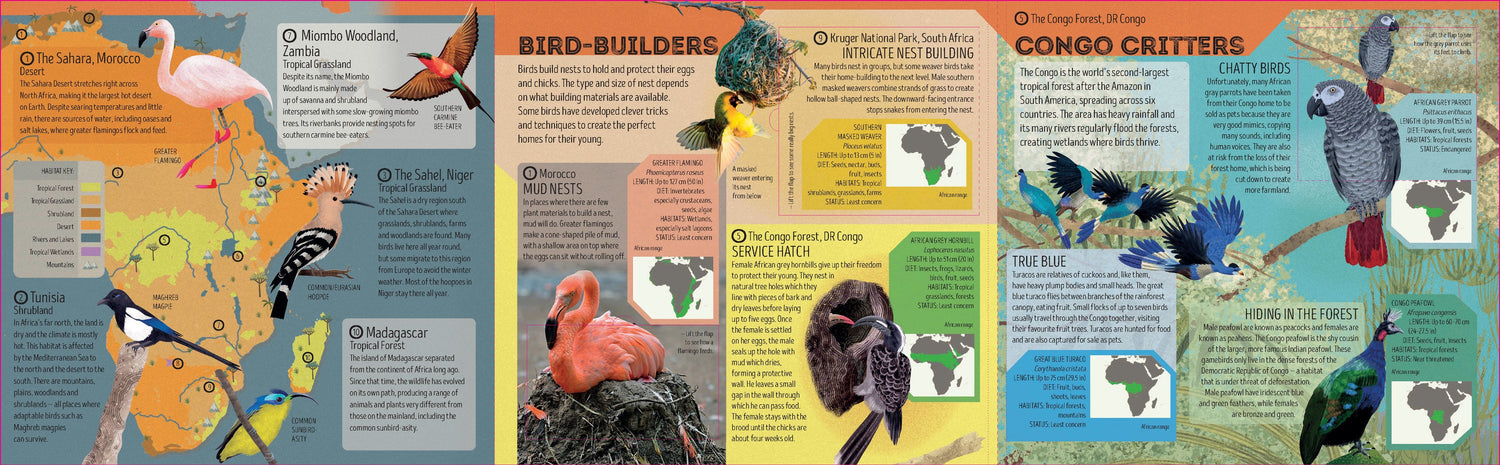 Bird Atlas (North and South America edition)