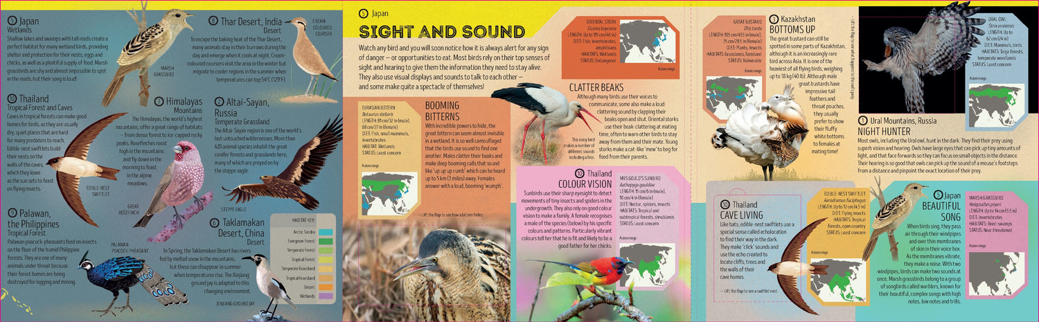 Bird Atlas (North and South America edition)