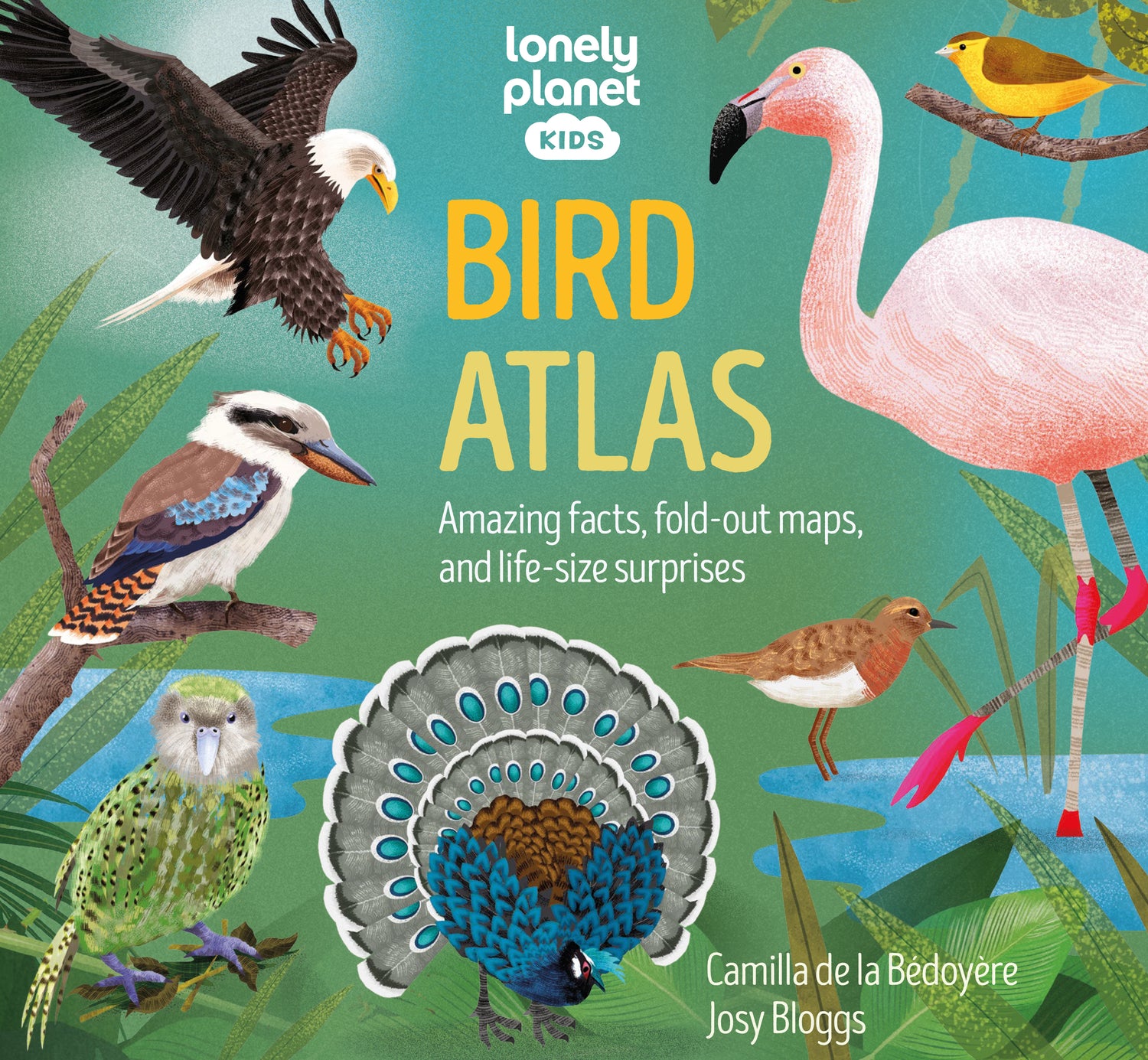 Bird Atlas (North and South America edition)