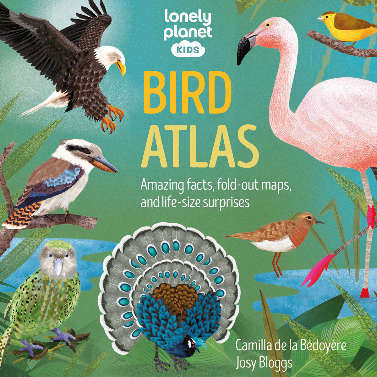 トップス AtLast BIRD Bird_Atlas_Cover_2c9b142b-bfb5