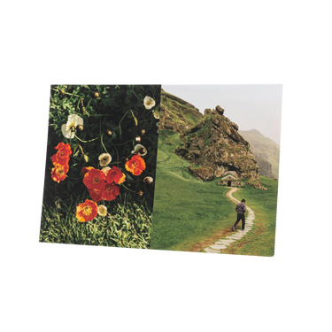 Curiosity Postcards Set