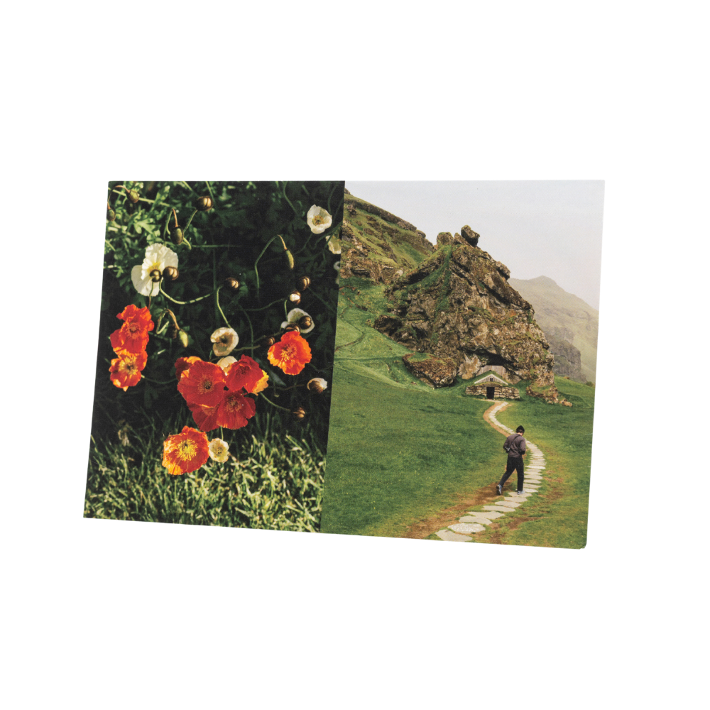Curiosity Postcards Set