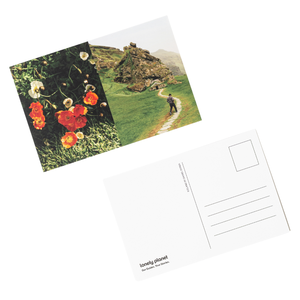 Curiosity Postcards Set