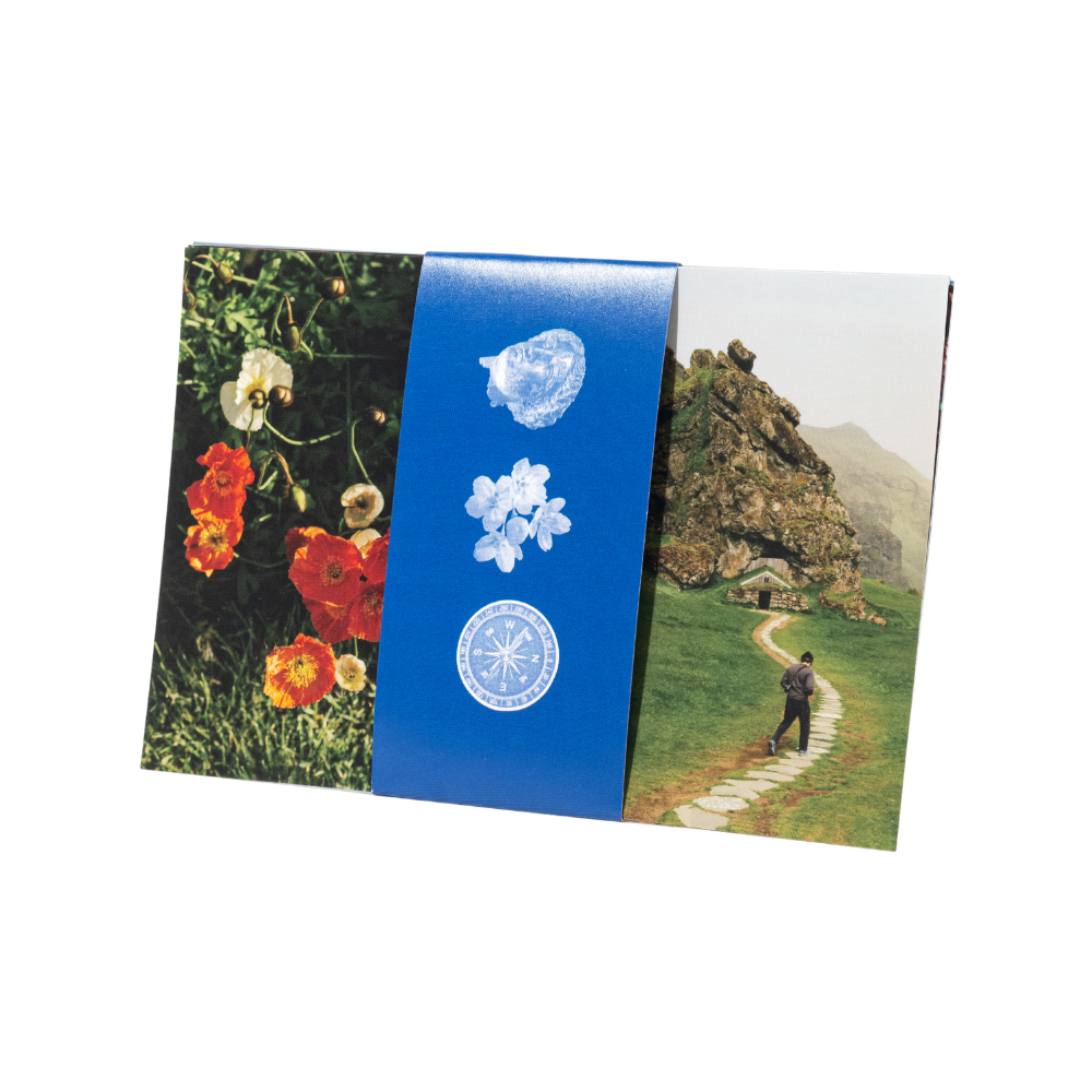 Curiosity Postcards Set