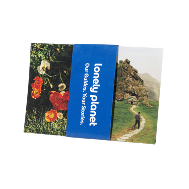 Curiosity Postcards Set