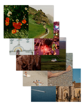 Curiosity Postcards Set