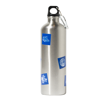 Curiosity Stainless Steel Water Bottle