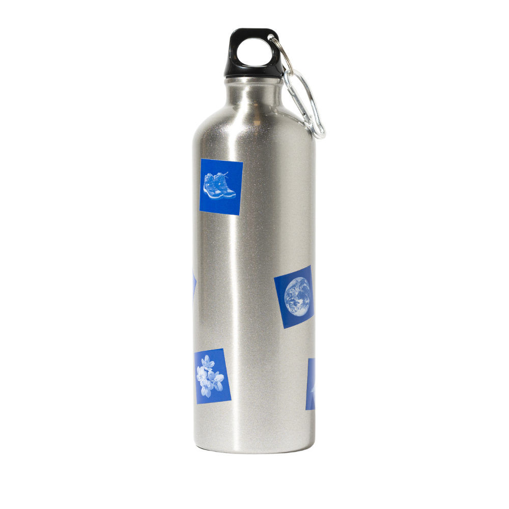 Curiosity Stainless Steel Water Bottle