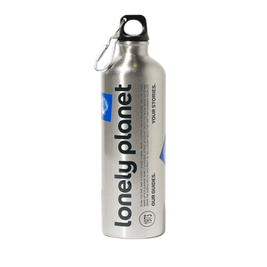 Curiosity Stainless Steel Water Bottle