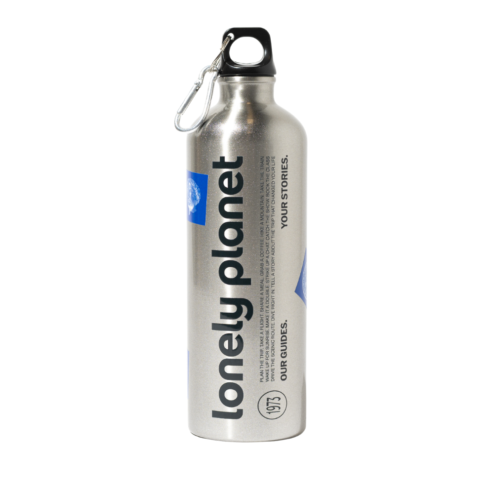 Curiosity Stainless Steel Water Bottle
