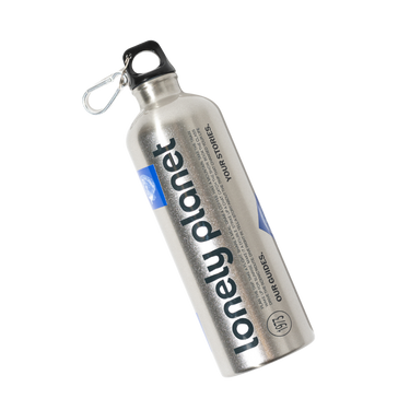 Curiosity Stainless Steel Water Bottle