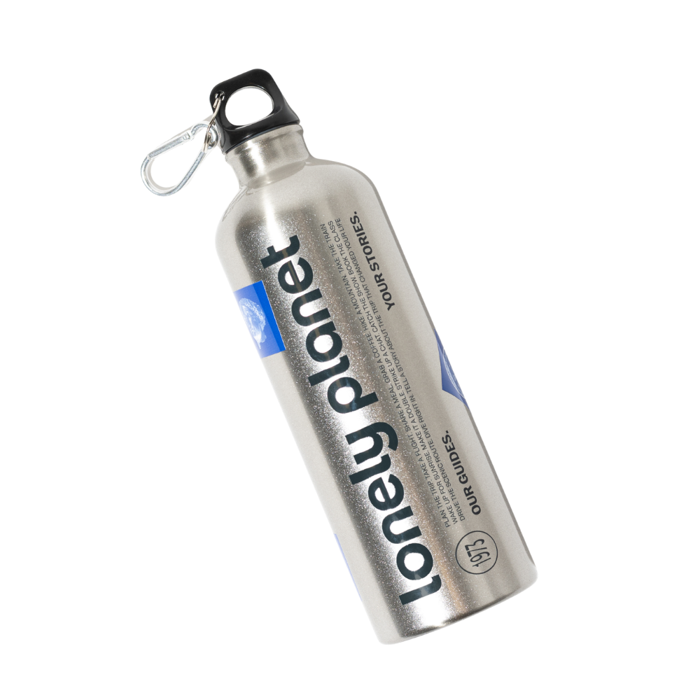 Curiosity Stainless Steel Water Bottle