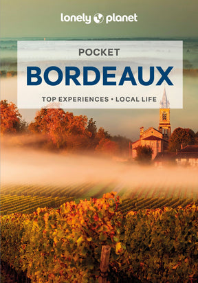 Pocket Bordeaux Travel Guide