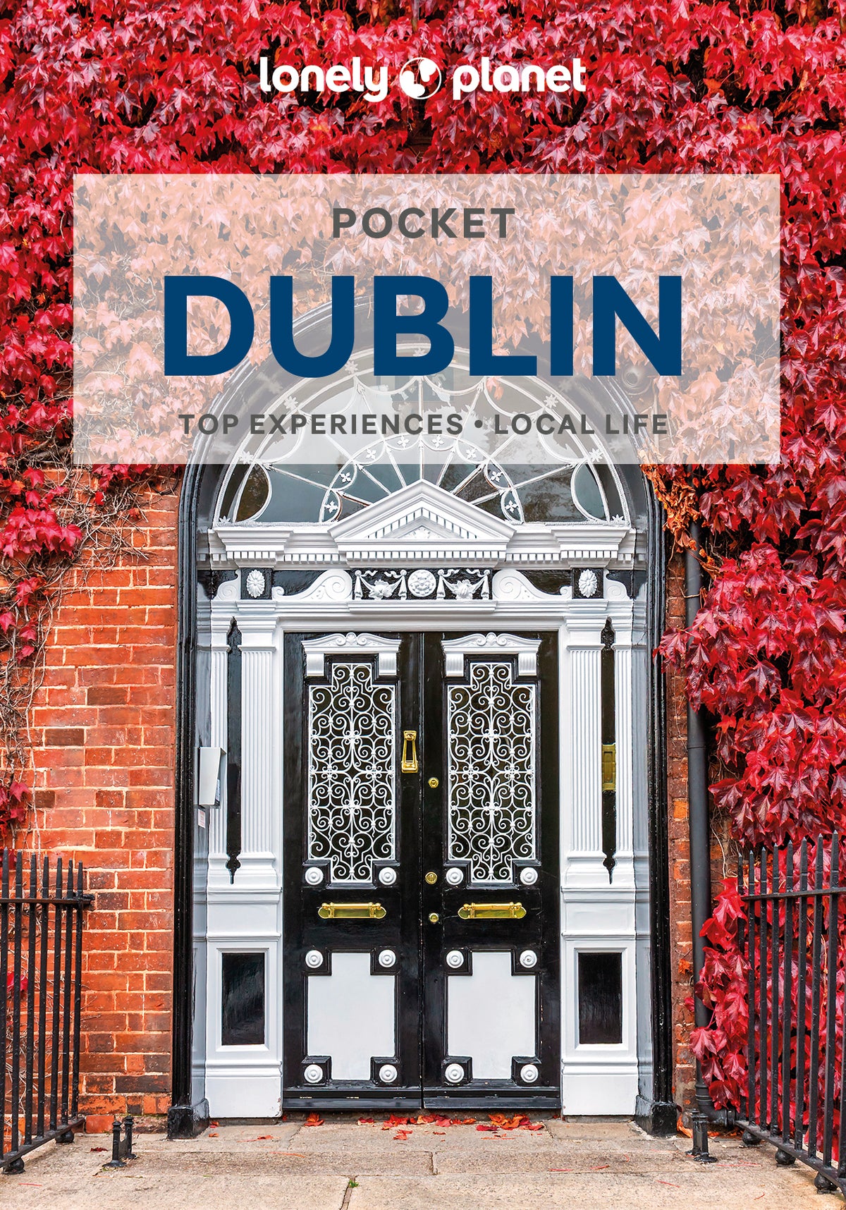 Pocket Dublin Travel Guide