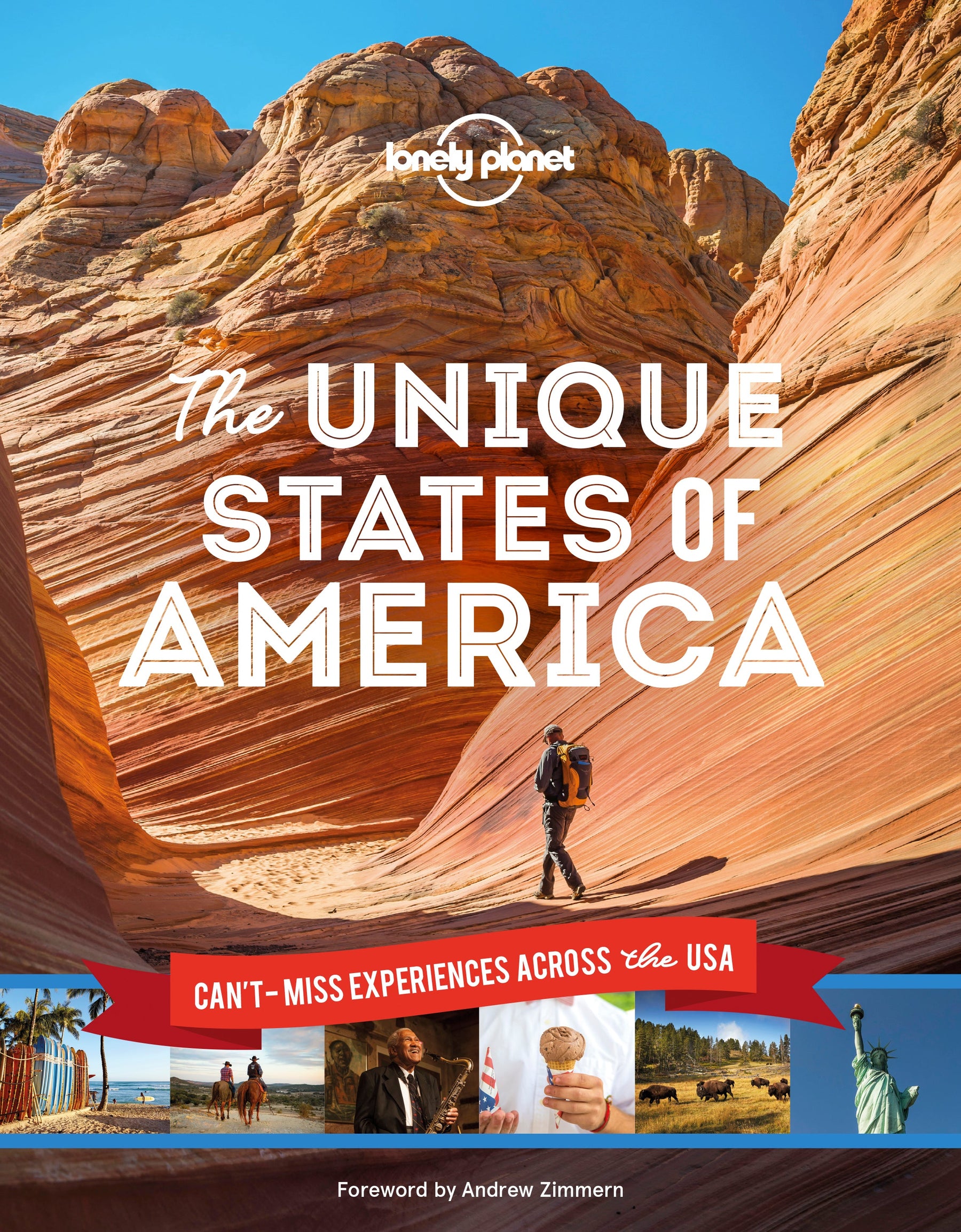 The Unique States of America - Book