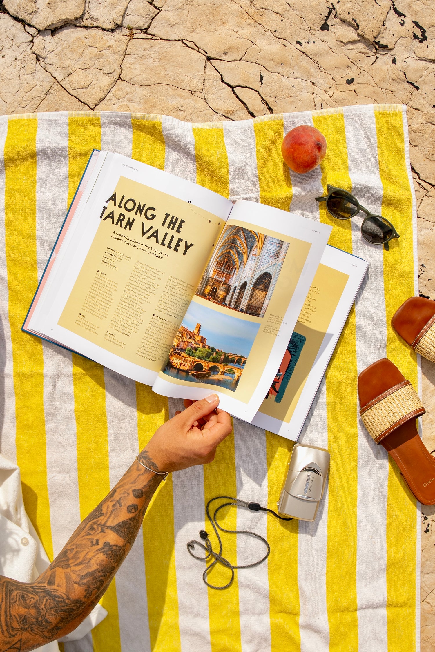 The Mediterranean (Hardcover)