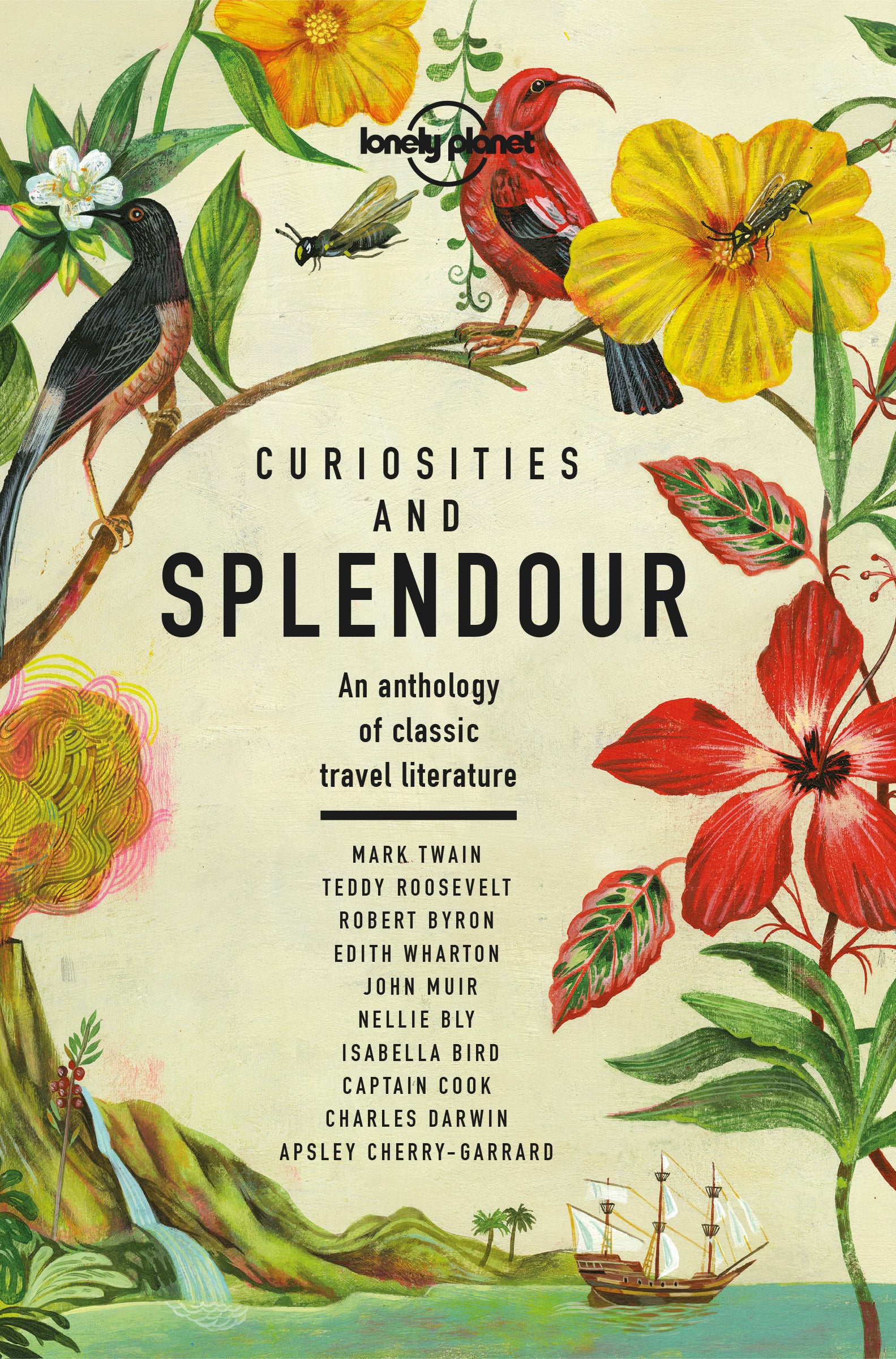Curiosities & Splendour